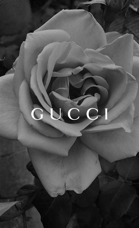 rose gucci stampati|gucci bulgarian rose.